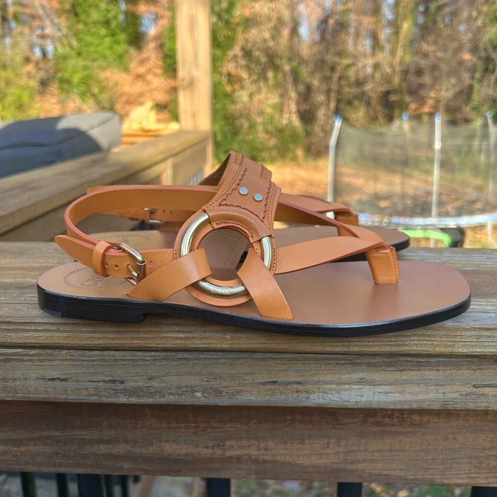 CHLOÉ Demi Leather Thong Sandals NEW! - Picture 2 of 6